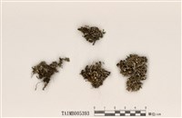 藏品(麩石蕊)的圖片